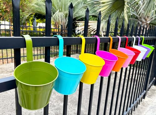 10 Pack 6" Colorful Metal Hanging Railing Planters with Detachable Hooks (10 Count)