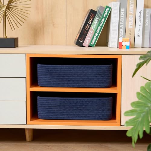 Large Shallow Organizing Baskets 15x11x5.1 Inches (2 Count)