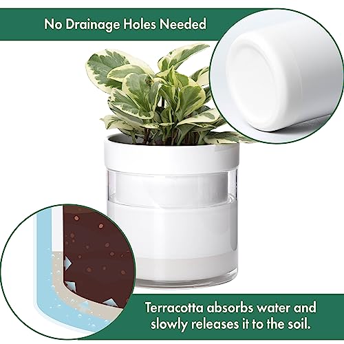 6 Inch Self Watering Planter