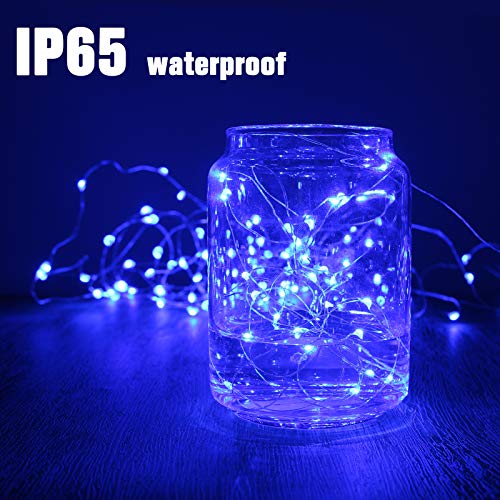 Waterproof LED Fairy String Lights (10 Foot)