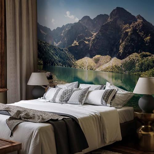 Wall Mural Wallpaper
