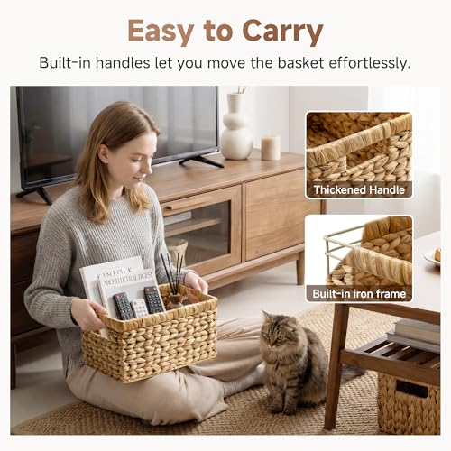 Wicker Baskets (2 Count)