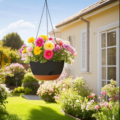 Hanging Planter for Indoor Plants (2 Count)