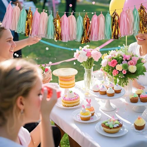 Shiny Tassel Garland Tissue Paper Tassel Banner