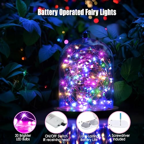 6 Pack Fairy Lights Battery Operated (6 Count)