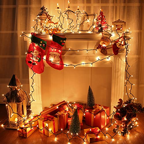 Clear Christmas Lights (25 Foot)