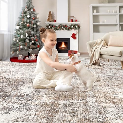 Area Rug Living Room Rugs (24 Count)