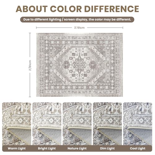 2x3 Rug Non Slip