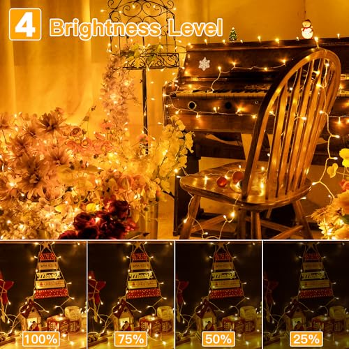 Christmas Lights (66 Foot)