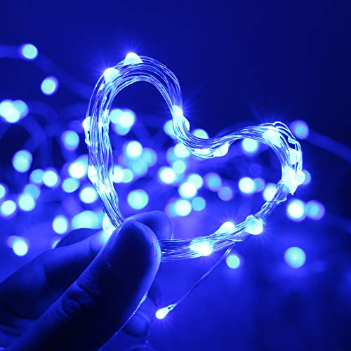 Waterproof LED Fairy String Lights (10 Foot)
