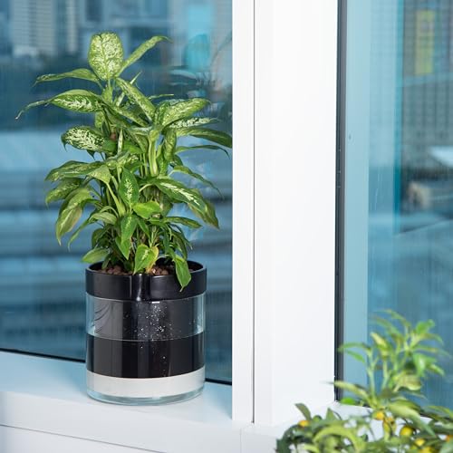 10 Inch Self Watering Terracotta Planter