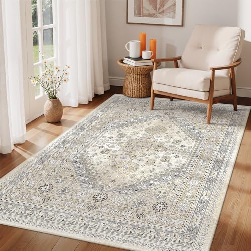 4x6 Area Rug for Entryway
