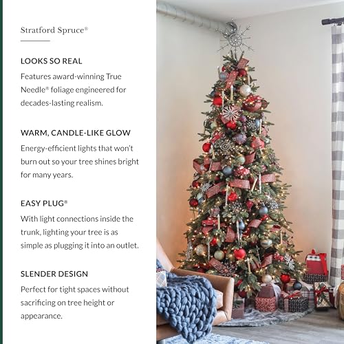 Stratford Spruce