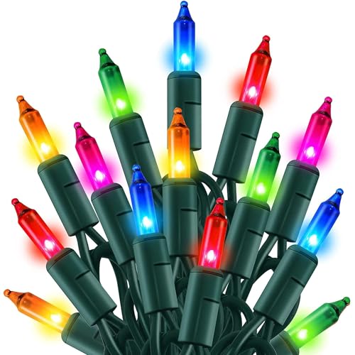 Outdoor Christmas Lights (20 Foot)