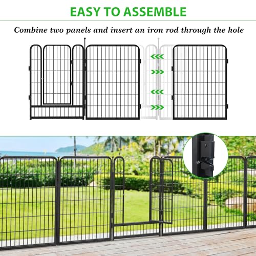 Decorative Black Metal Fencing Garden Fence with Gate