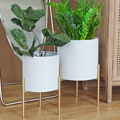 Modern Planter Pots (2 Count)