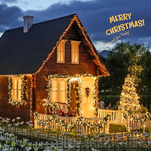 168Ft String Lights Outdoor Waterproof (168 Foot)