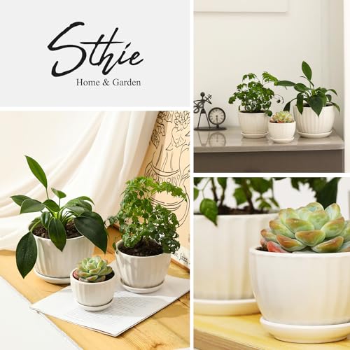 Ceramic Plant Pots with Saucers (3 Count)