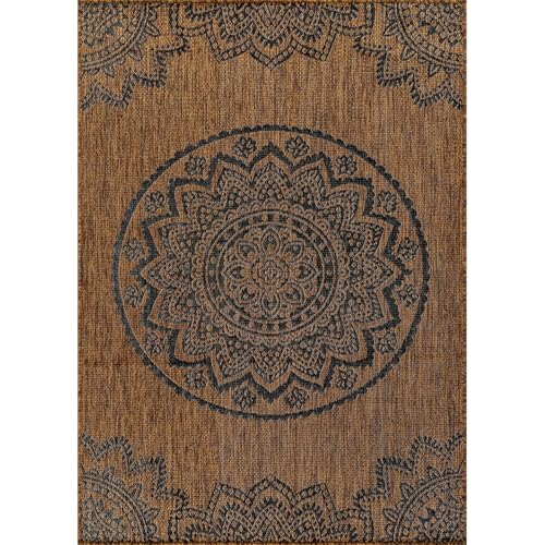 Outdoor Rug 5x7 Modern Area Rugs for Indoor and Outdoor Patios and Porches
