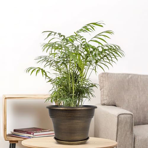 Plant Planters Pots Set of 4 Pack 10 Inch (4 Count)