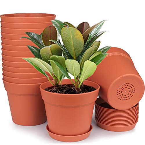 6 Inch Plastic Flower Pots with Drainage Holes and Trays (15 Count)