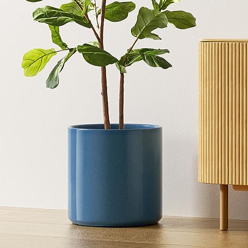 12 Inch Pot for Plants