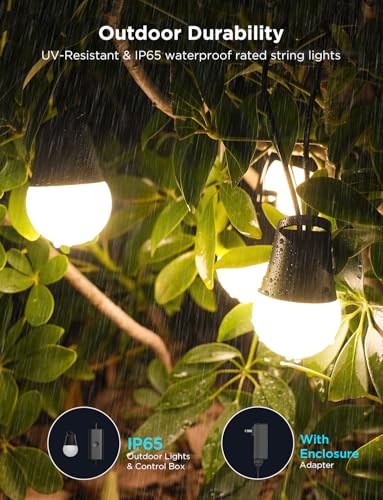 Smart Outdoor String Lights 2 (96 Foot)