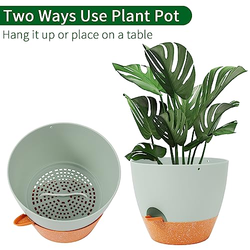 10 Inch Self Watering Hanging Planter (2 Count)