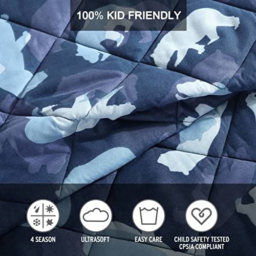 Queen Quilt Set