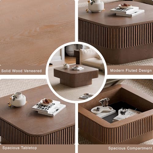 Square Small Coffee Table with Storage