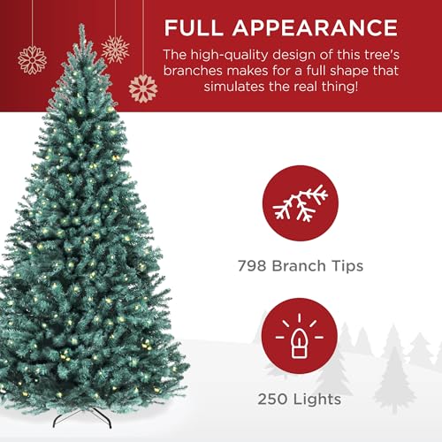 6ft Pre Lit Blue Spruce Christmas Tree