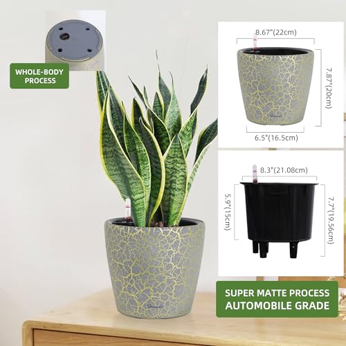 9x8 Self Watering Planter