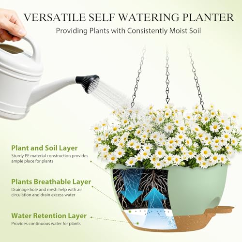 12 Inch Hanging Baskets 2 PC with Chains (2 Count)
