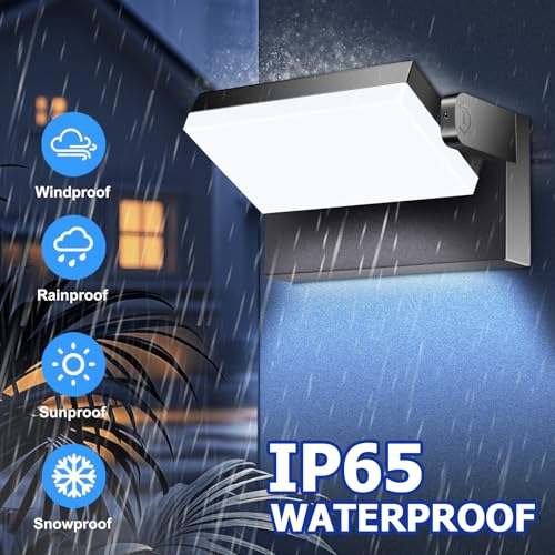 60W LED Outdoor Wall Lights