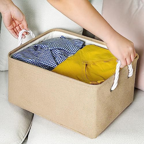 Organization and Storage Bin for Shelves (3 Count)