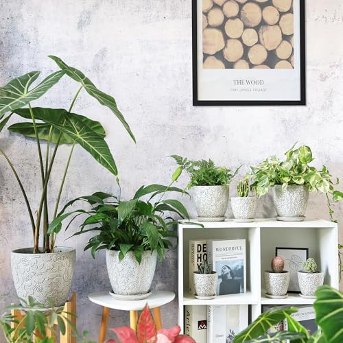 6 Inch Ceramic Planter Pots with Drainage Hole and Saucers for Indoor Plants (2 Count)