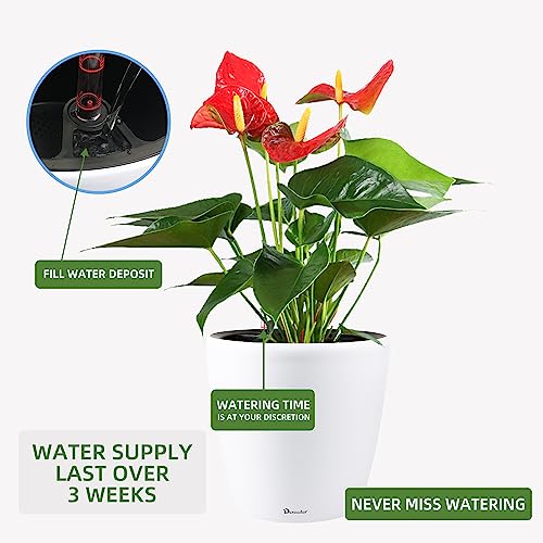 15x14 Self Watering Planter with Wheels