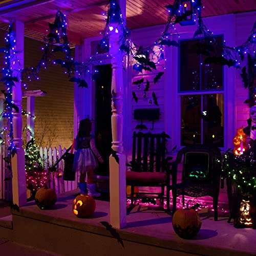 Purple Halloween Fairy String Lights (20 Foot)