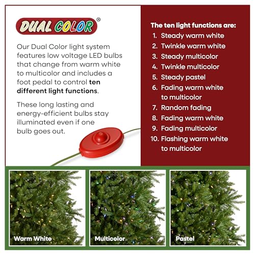 12ft Pre Lit Dunhill Fir Artificial Christmas Tree