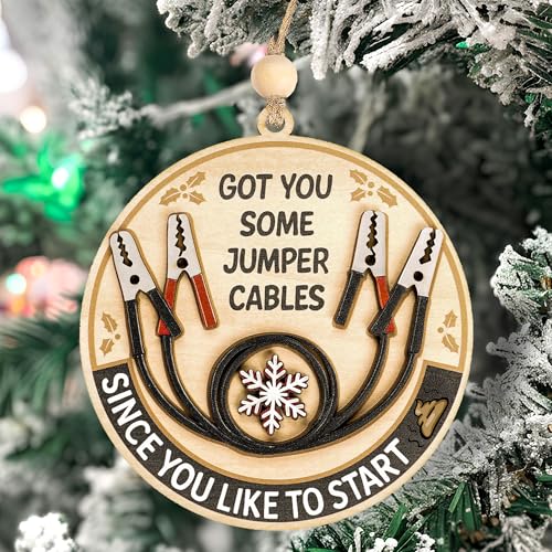 Funny Christmas Ornaments 2026