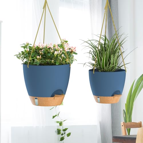 Hanging Planter 8 Inch (2 Count)