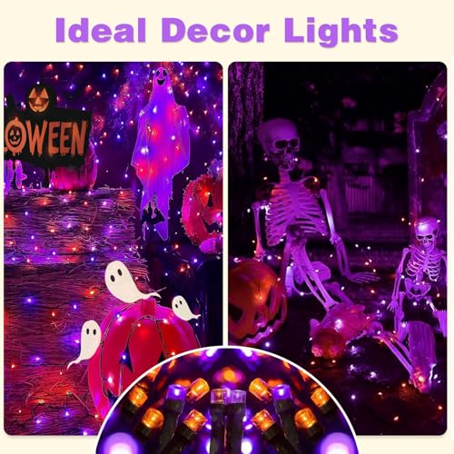 Solar String Lights Outdoor (6 Count)