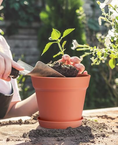 6 Inch Plastic Flower Pots with Drainage Holes and Trays (15 Count)