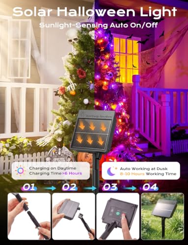 Orange Purple Solar Operated C6 Halloween Outdoor Lights