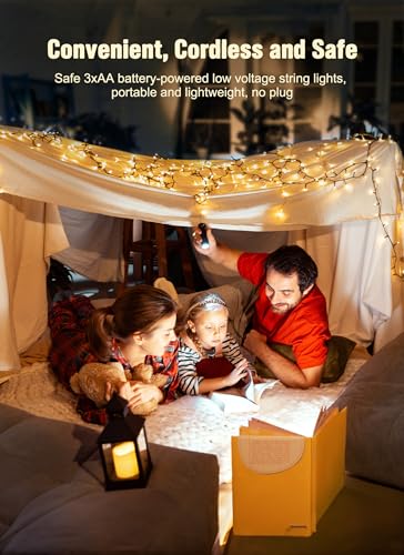 Battery Operated Christmas String Lights with Timer 2 Pack (2 Count)