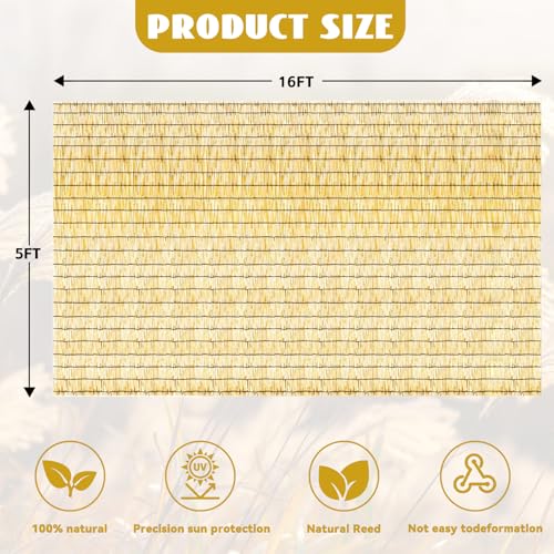 Bamboo Reed Fencing (16 Foot)
