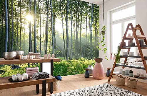 Sunshine Forest Mural Wallpaper Landscape Tree (56.25 Sq Ft)