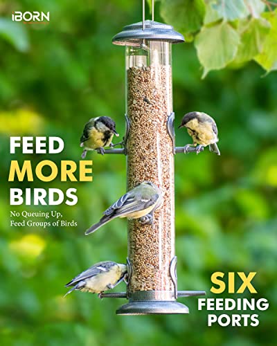 Metal Bird Feeder Hanging Wild Bird Seed Feeder for Mix Seed Blends Heavy Duty All Metal Silver Finish