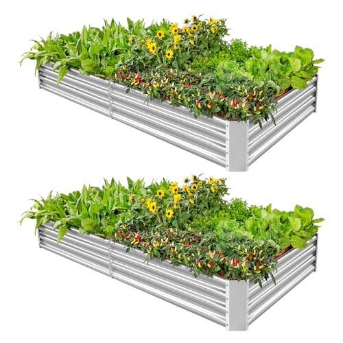 2 Pack 6×3×1ft Galvanized Metal Raised Garden Bed (2 Count)