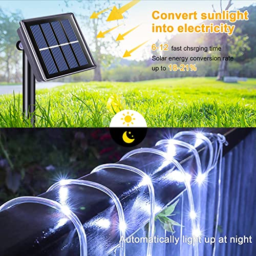 2 Pack 100 LED Solar Rope Lights (66 Foot)